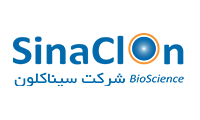 سینا کلون