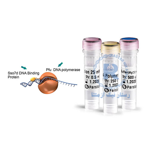 Phusion DNA polymerase (Suitable for high fidelity, low error)C101101-250 U
