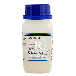 EC Broth كيولب