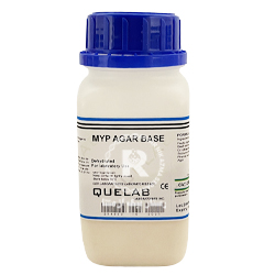 MYP agar base کیولب 