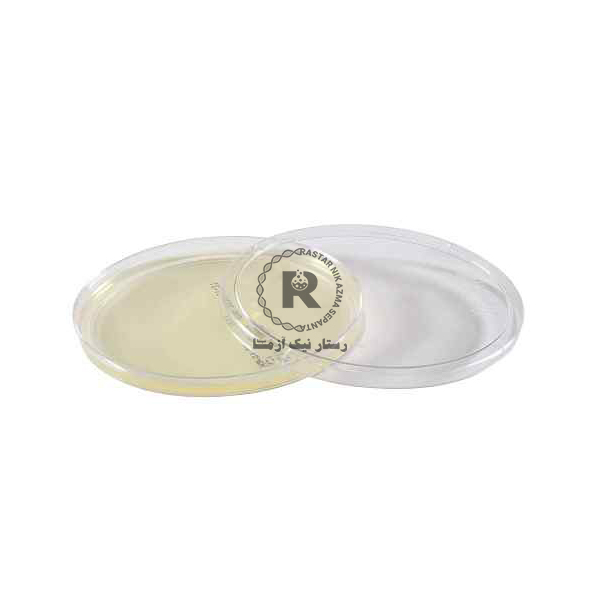 محيط كشت آماده نوترينت آگار -6cm