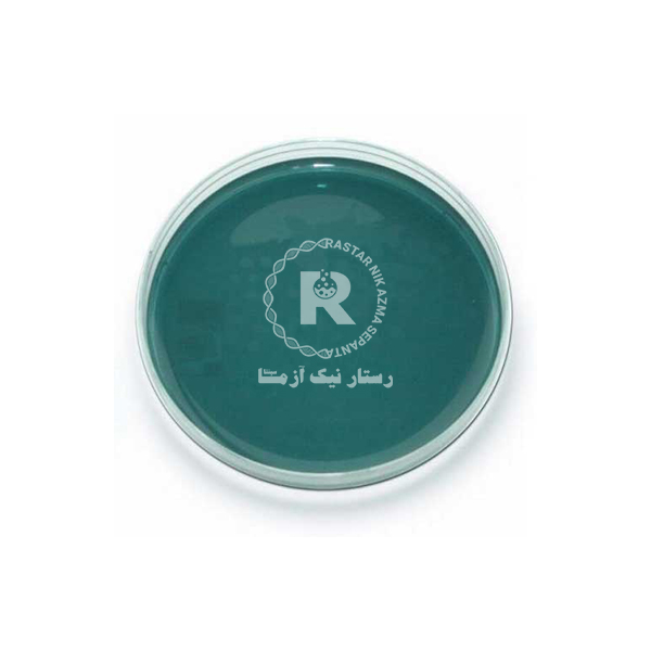 محيط كشت آماده 6cm هكتون