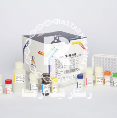 B-HCG Rapid 96t پيشتاز