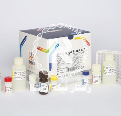H.PYLORI IgA 96T پيشتاز طب 