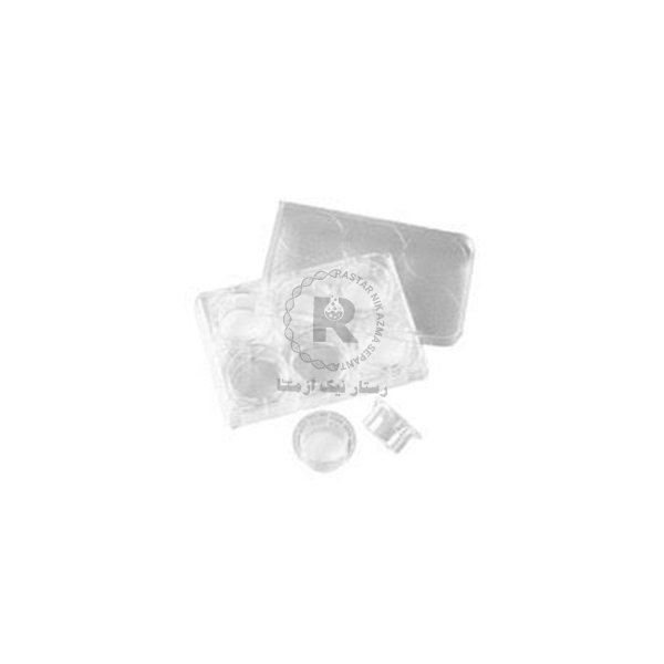 culture insert- 6well, 24 mm, 3/00 um pore, PC cell ( Translucent), SPL 35106