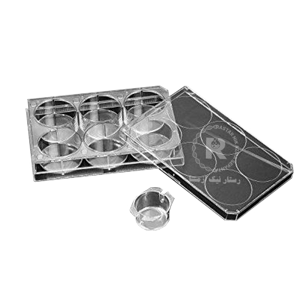 culture insert -6well, 24 mm, 8.00 um pore, PET cell,(Translucent), SPL 36206
