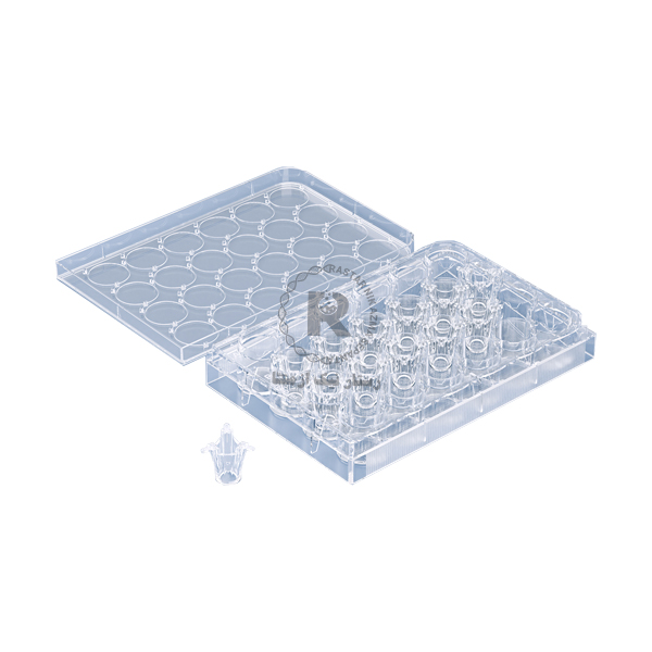 culture insert-24 well, 6/50 mm, 0.40 um pore, PET cell (Transparent), SPl 37024