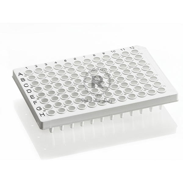 ExtraGene   , PCR Plate 96 well, low profile 