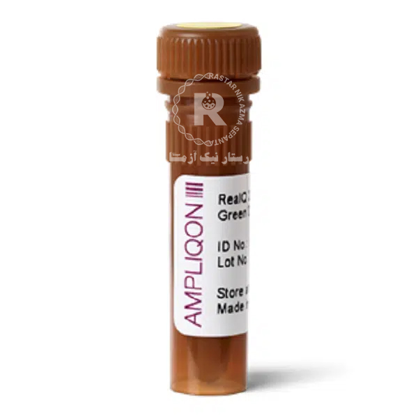 SYBER green high rox 125ml - AMPLIQON
