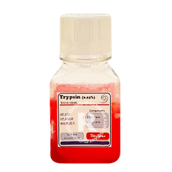 TRYPSIN شل مکس 