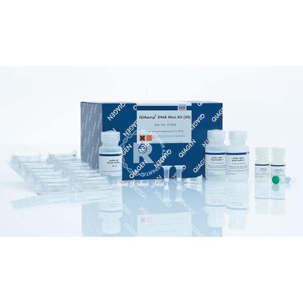 DNA Mini Kit(51304) Qiagen