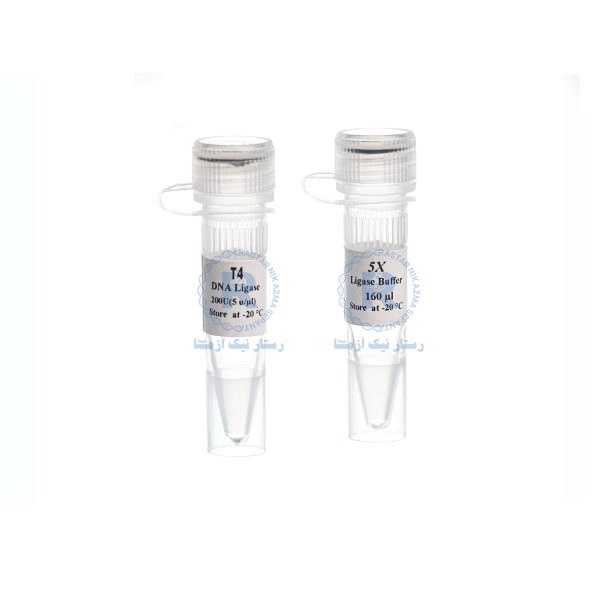  T4 DNA Ligase 5u/µl,200u-MO5455