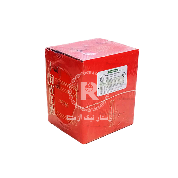 رينز ميندري 10L روز آزمون