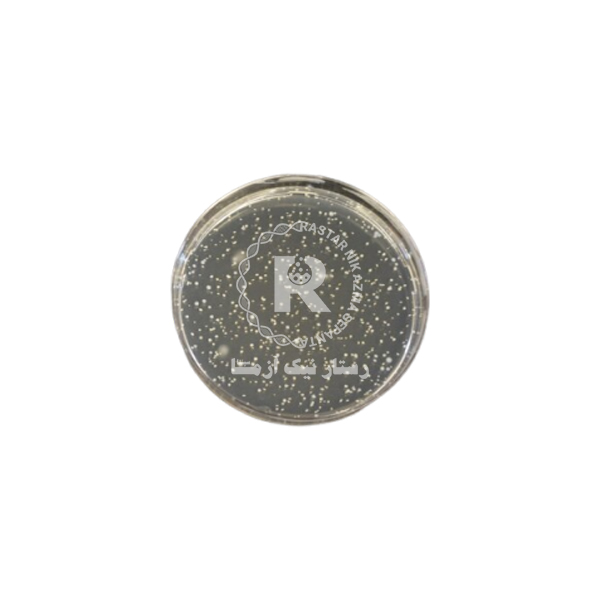 پروپيونات آگار 500G مرك -(100043)