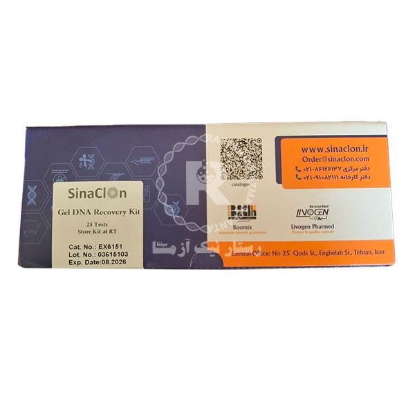 Gel DNA Recovery Kit,25T-EX6151