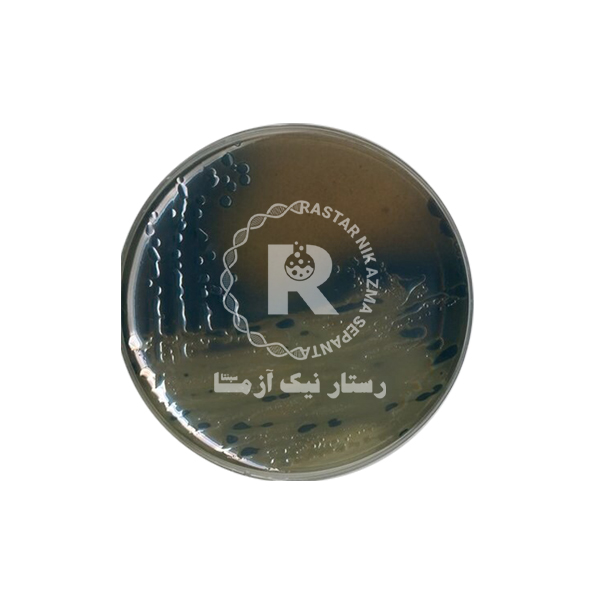 بيسموت سولفيت آگار 500G -مرك (105418)