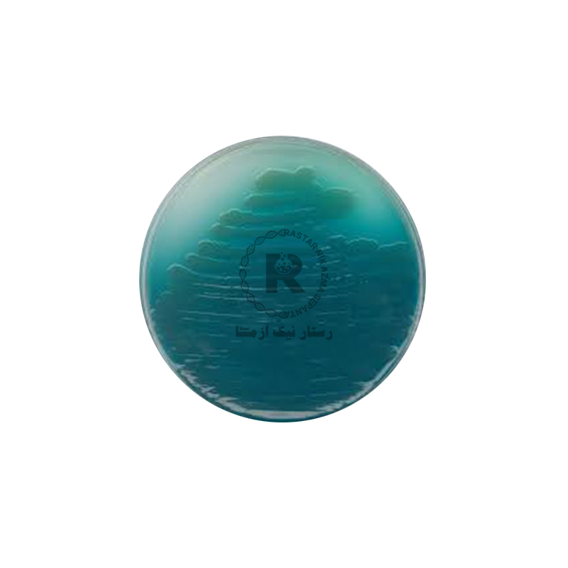  Pesudomonas agar 500g مرك (110988)