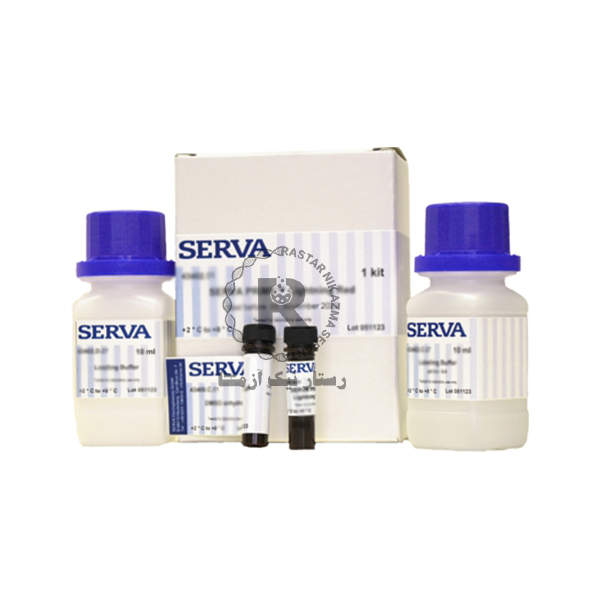 مركب چيني SERVA 100CC