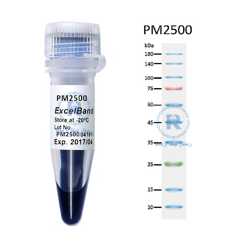 Prestained Protein Ladder 3-color, (9-180KDa)-250 µl-SL7013