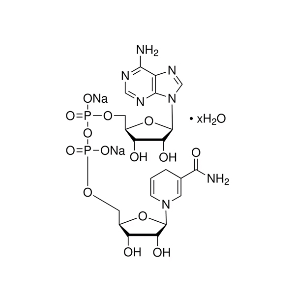 NADH سيگما آلدريچ -(10107735001)