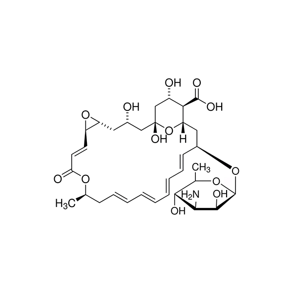 Natamaycin 1g سيگما آلدريچ(p9703)