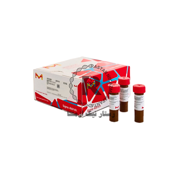 آمفوتريپسينB 20ML سيگما -آلدريچ (A2942)