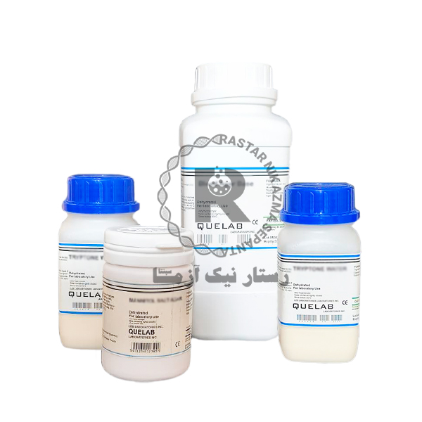 Saline Peptone Water 500g کیولب	