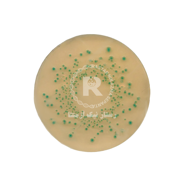 تريپتون بايل آگار TBA 100G -كيولب